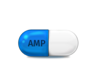 AMPICILLIN (Penicillin)