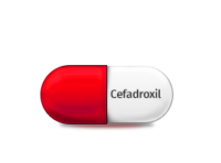 CEFADROXIL (CEFADROXIL)