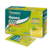 Himalaya Gasex Fizz