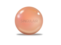 SINGULAIR (Montelukast)
